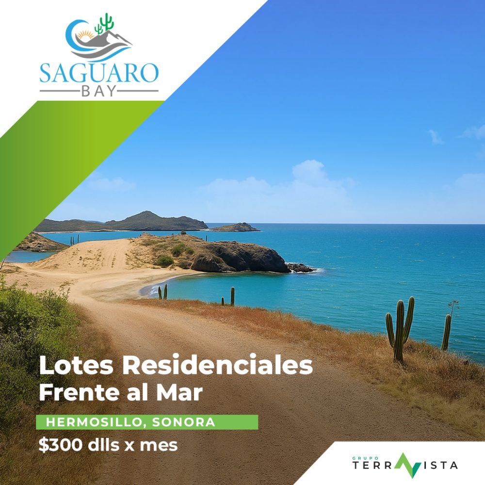 2 Diseño SAGUARO BAY (WEB)