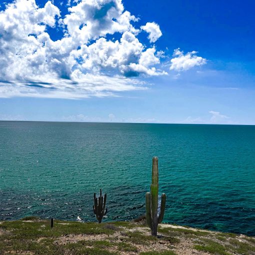 83d075dd-f97c-4c81-97cf-79b9c128375b