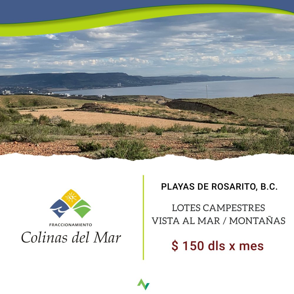 COLINAS DEL MAR WEB