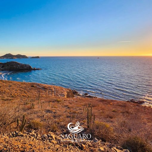 Playa Saguaro Bay