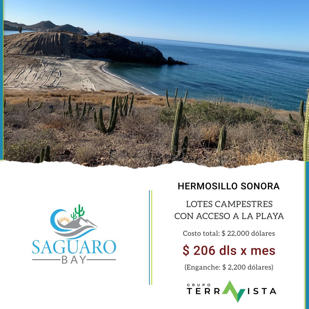 SAGUARO BAY WEB (3-2026)